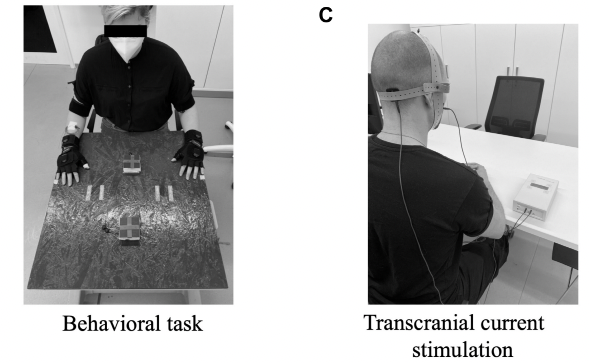 Cerebellar transcranial current stimulation-an intraindividual comparison of different techniques